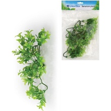 Unionstar Ficus M 30 cm