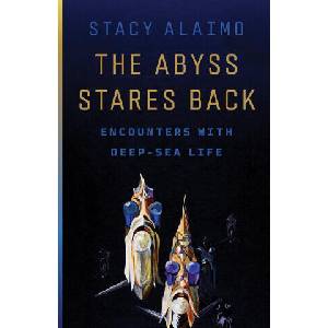 The Abyss Stares Back (ISBN: 9781517918736)