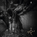 Troll - Drott CD