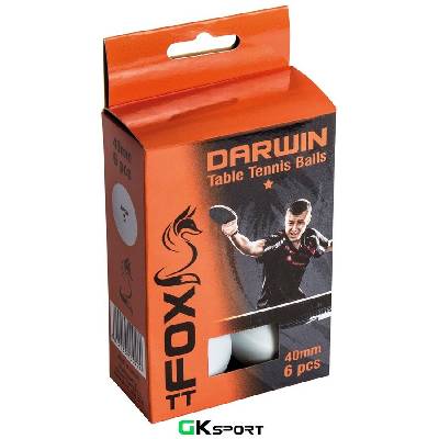 Комплект от 6 топчета за тенис на маса Fox TT Darwin 1 Star