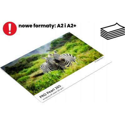 Fomei A4 100 Ks 265 g/m2