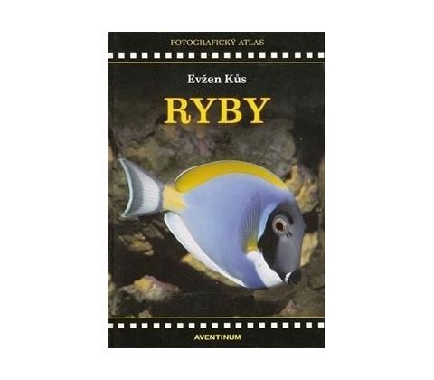 Ryby