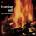 HOOKER, JOHN LEE - BURNING HELL LP