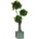 Salal jumbo 190 cm