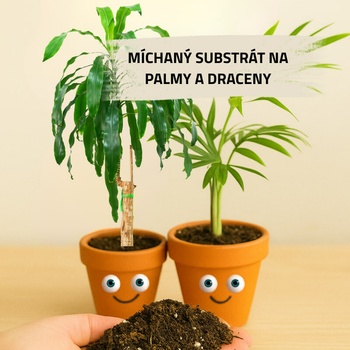 Mix č. 4 Pro palmy a dřevnaté rostliny