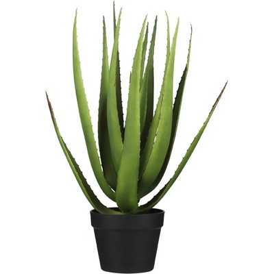 Aloe vera v obalu zelená V63 cm