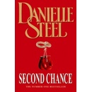 Second Chance Steel Danielle