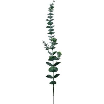 KS EUCALYPTUS 69CM