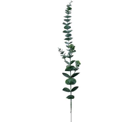 KS EUCALYPTUS 69CM