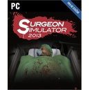 Hry na PC Surgeon Simulator 2013