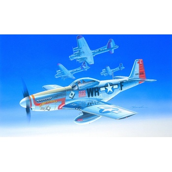 Academy Model Kit North American P51D Mustang USAAF 355th FG 354th FS Down for Double Gordon Graham Anglie 1945 12485 1:72