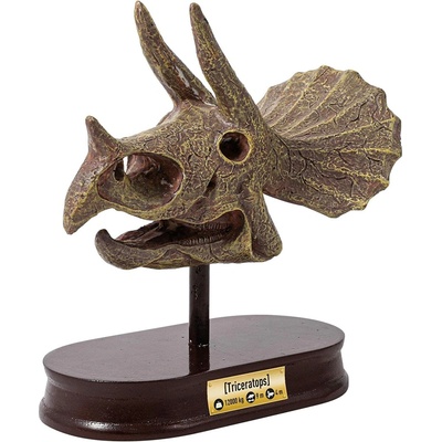 BUKI DinoSkull vykopávka lebky Triceratops