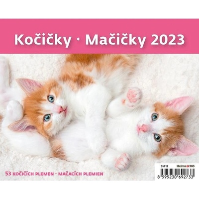 MiniMax Kočičky/Mačičky stolní 2023