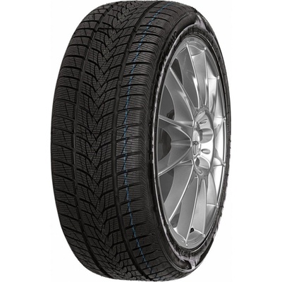 MINERVA FROSTRACK UHP 255/30 R19 91V