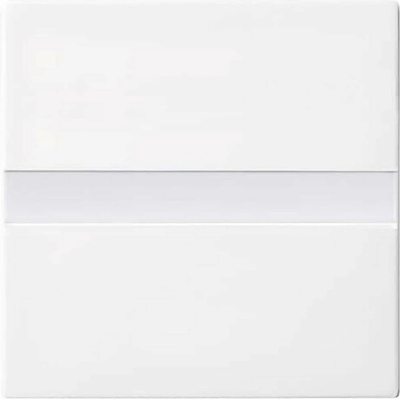 Busch-Jaeger 2CKA006800A2881