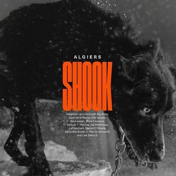 Algiers - Shook LP