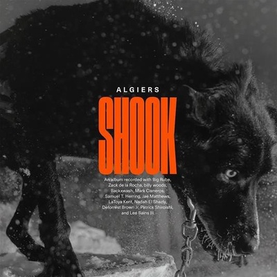 Algiers - Shook LP