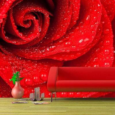 Sablio Tapeta Květ Ruža, rozmery 336x220 cm