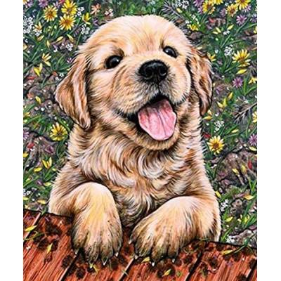 Norimpex - Puzzle Diamant painting: Labrador puppy 30x40cm - 1 - 39 piese
