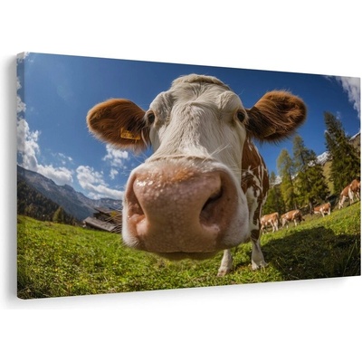 Obraz kráva v horské přírodě - 60x40