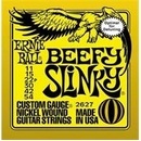 Ernie Ball 2627