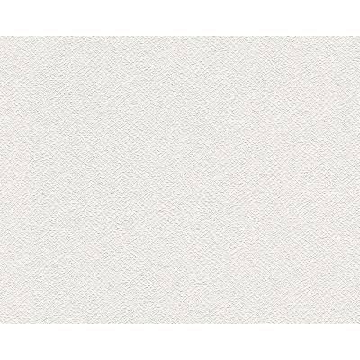 A.S. Création 252616 přetíratelné tapety na zeď Meistervlies Protect 4 rozměry 1,06 x 25 m