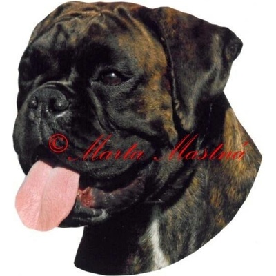 Samolepka boxer archiv 650