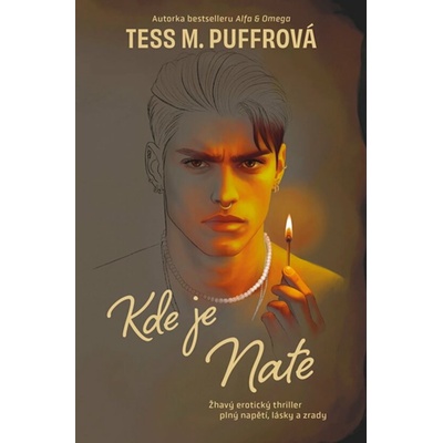 Kde je Nate - Tess M. Puffrová – Zbozi.Blesk.cz
