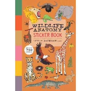 WILDLIFE ANATOMY STICKER BK (2024)