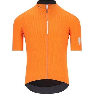 Q36.5 Dottore Pro Jersey pánský