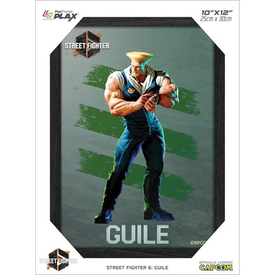 Pixel Frames PLAX Street Fighter 6: Guile 25x30