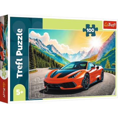 Trefl - Puzzle A Race Againts Time - 100 piese