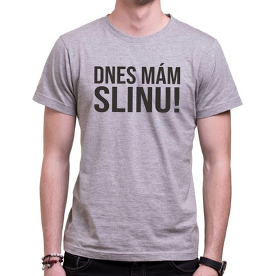 Coolsign tričko Dnes mám Slinu! šedá