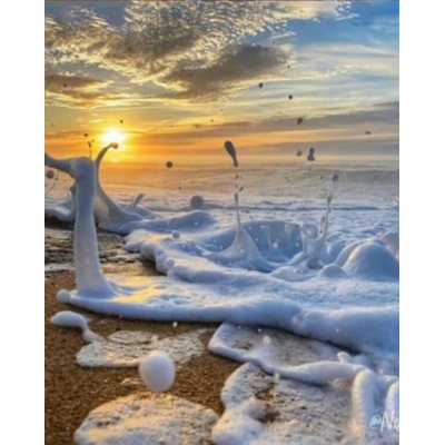 Залез над брега 40/50 см