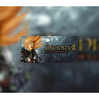 Divinity 2 (The Developer’s Cut)