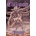 Claymore