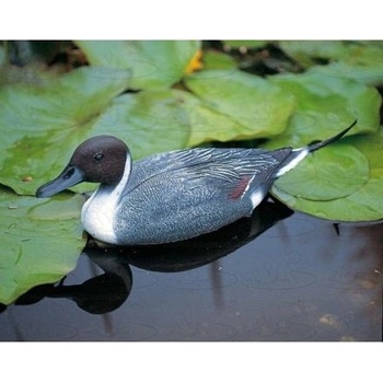 Vodní dekorace Ubbink - kačer Pintail