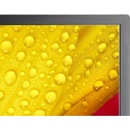 Image 1 of NEC MultiSync M431-2 60006083