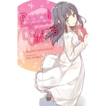 Rascal Does Not Dream of a Dreaming Girl light novel