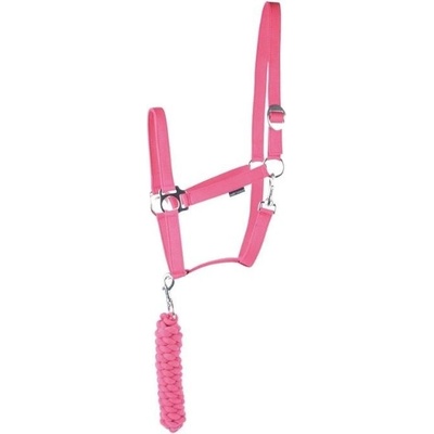 HARRY'S HORSE Ohlávka s vodítkem Initial fuchsia – Zboží Mobilmania