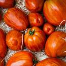 Paradajka Tigerella - Solanum lycopersicum - semená paradajky - 6 ks