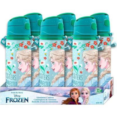 Kids Euroswan Hliníková fľaša Frozen 600 ml