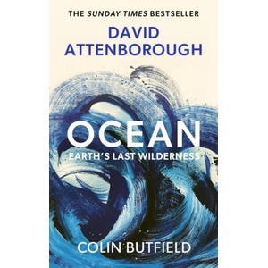 Ocean (ISBN: 9781399832618)