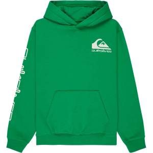 Quiksilver Детски суичър Quiksilver Kid's Omni Logo Hoodie - Leprechaun - размер 10 (US) (704-6120-0212)