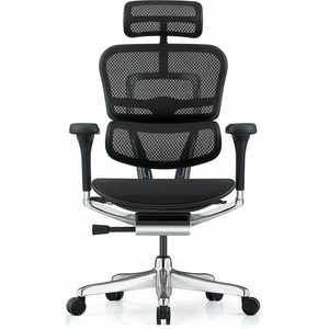 Antares Ergohuman Elite 2