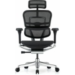 Antares Ergohuman Elite 2