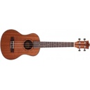 Prodipe Guitars BT3