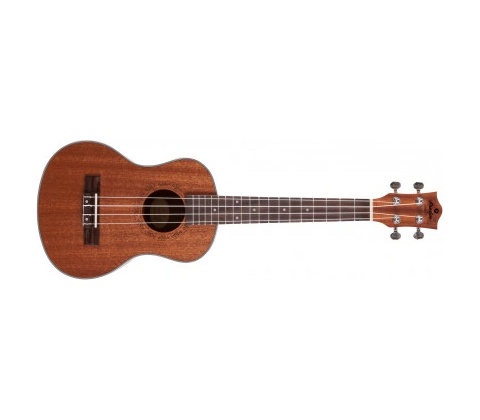 Prodipe Guitars BT3