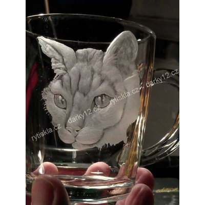 Rytiskla cz VARNÉ SKLENICE BAZ 01 RYTÁ KOČKA DEVON REX 250 ml