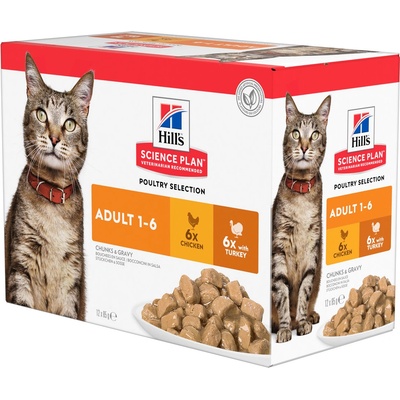 Hill's Science Plan adult cat kuře krůta 12 x 85 g